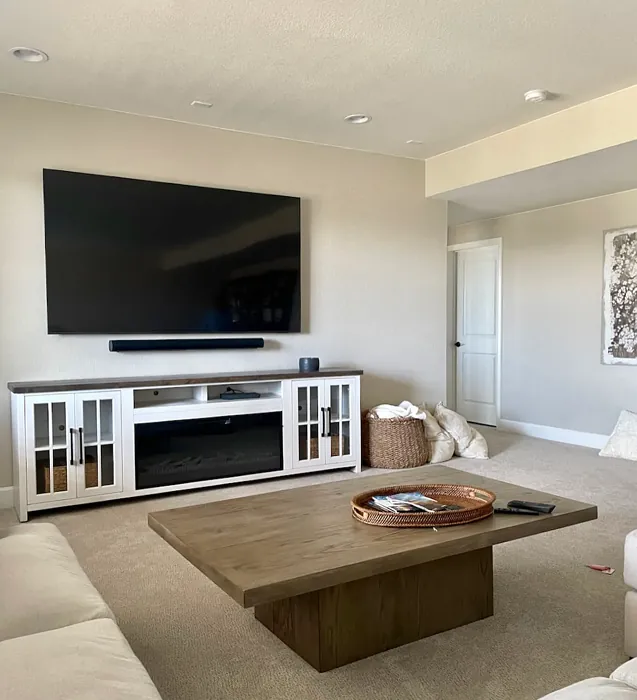 Accessible Beige Living Room