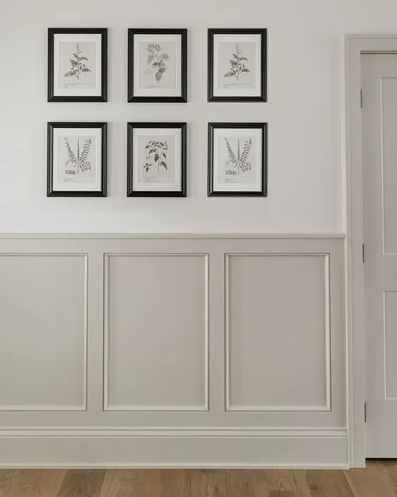 SW 7036 wall panelling color review