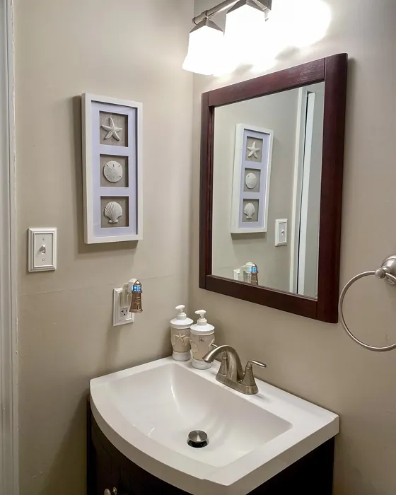 SW 7036 bathroom color