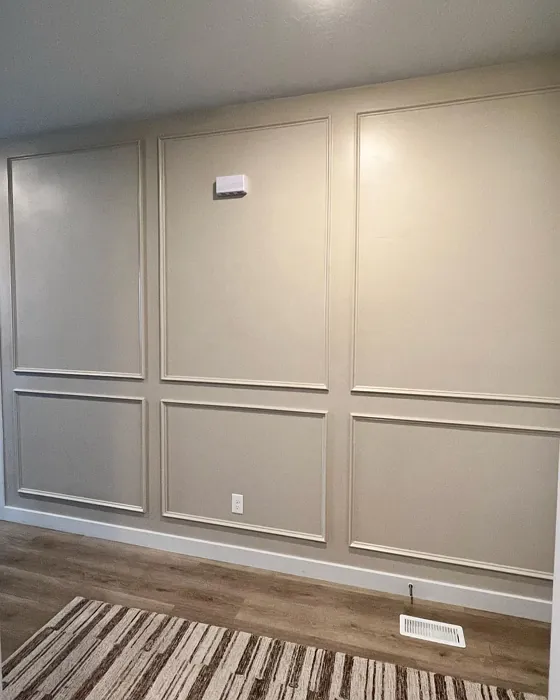 Sherwin Williams Accessible Beige wall paint makeover