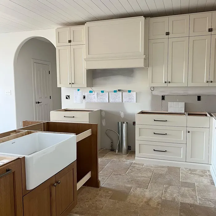 Sw Accessible Beige Kitchen Cabinets