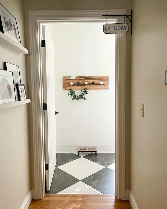 Accessible Beige Laundry Room
