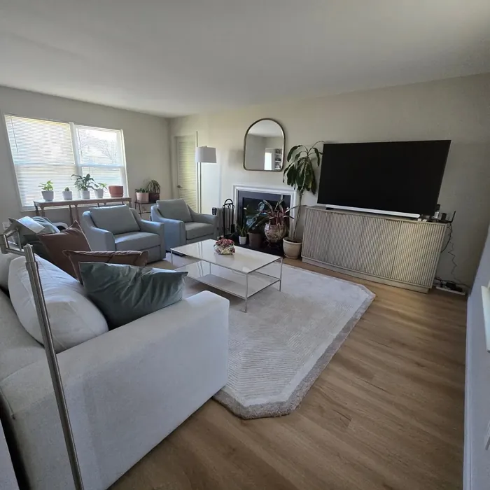 Sherwin Williams Accolade living room review