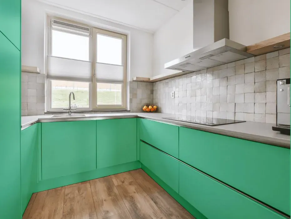 Sherwin Williams Active Green small kitchen cabinets