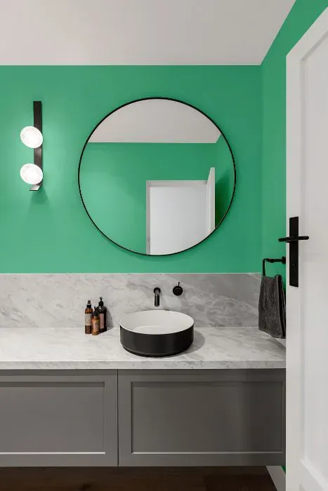 Sherwin Williams Active Green minimalist bathroom