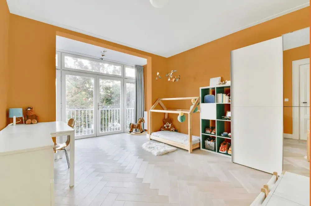 Sherwin Williams Adventure Orange kidsroom interior, children's room