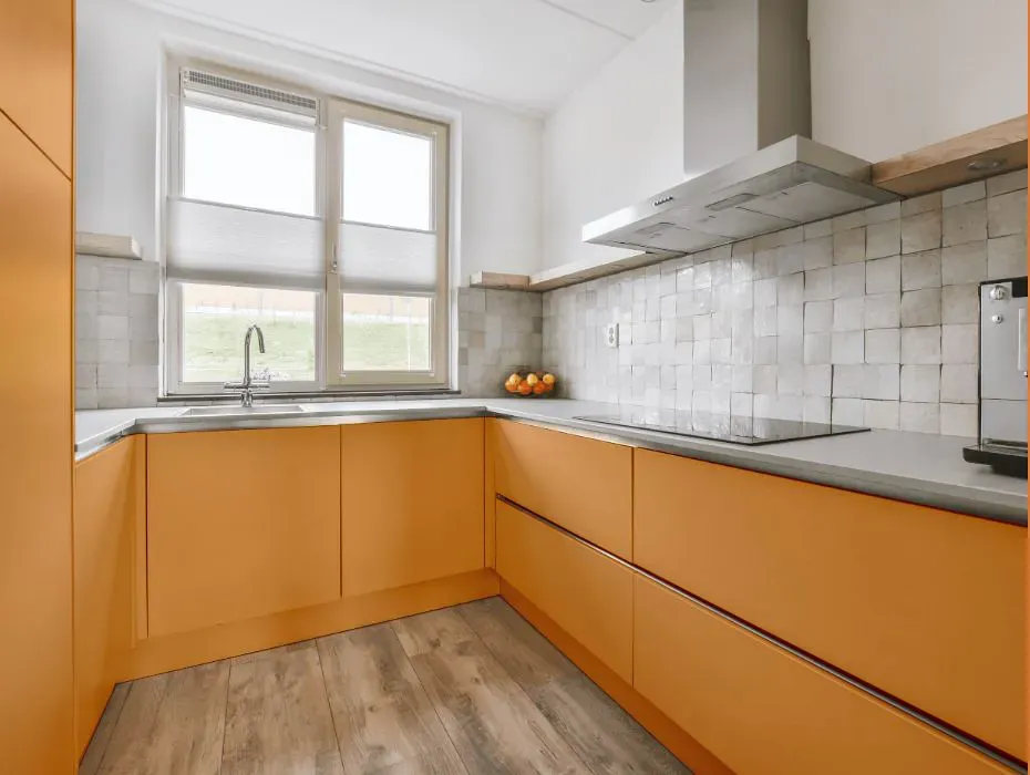 Sherwin Williams Adventure Orange small kitchen cabinets