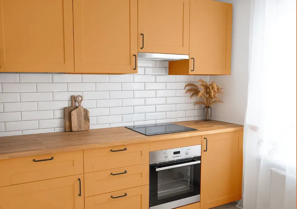 Sherwin Williams Adventure Orange kitchen cabinets