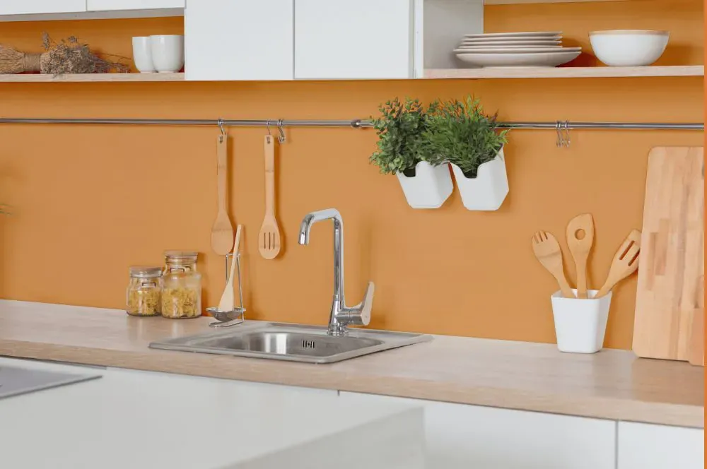 Sherwin Williams Adventure Orange kitchen backsplash