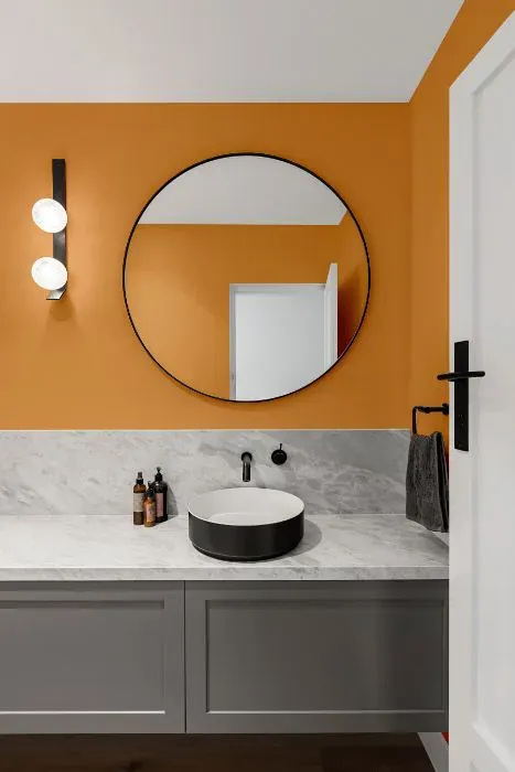 Sherwin Williams Adventure Orange minimalist bathroom