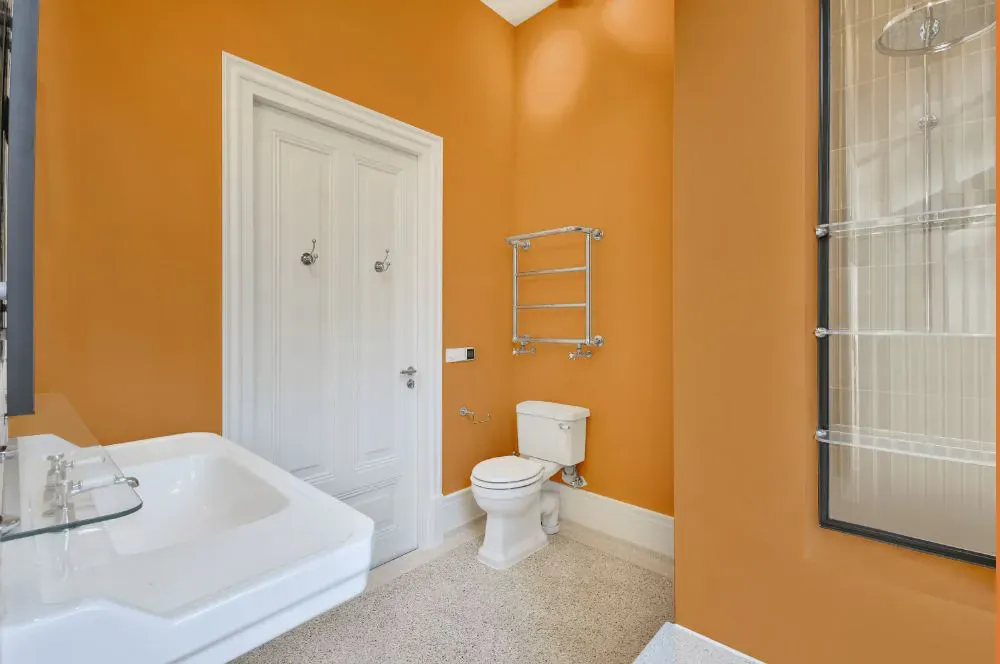 Sherwin Williams Adventure Orange bathroom