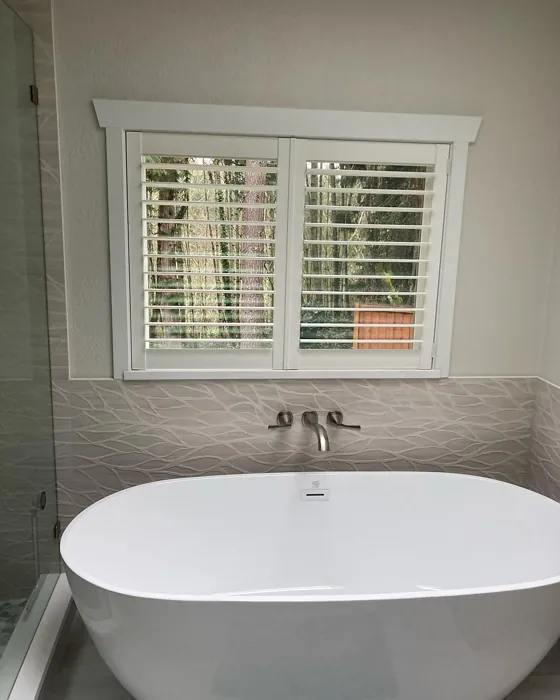 SW Aesthetic White bathroom color review