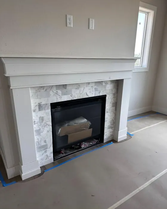 SW Aesthetic White living room fireplace 