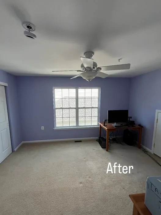 Sherwin Williams Agapanthus home office color