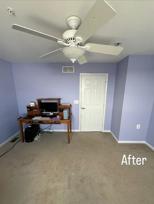 Sherwin Williams Agapanthus home office color review