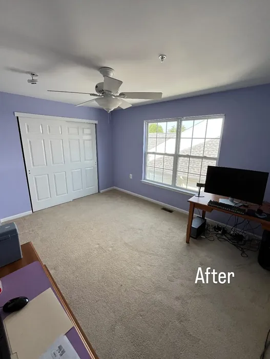 Sherwin Williams Agapanthus home office paint