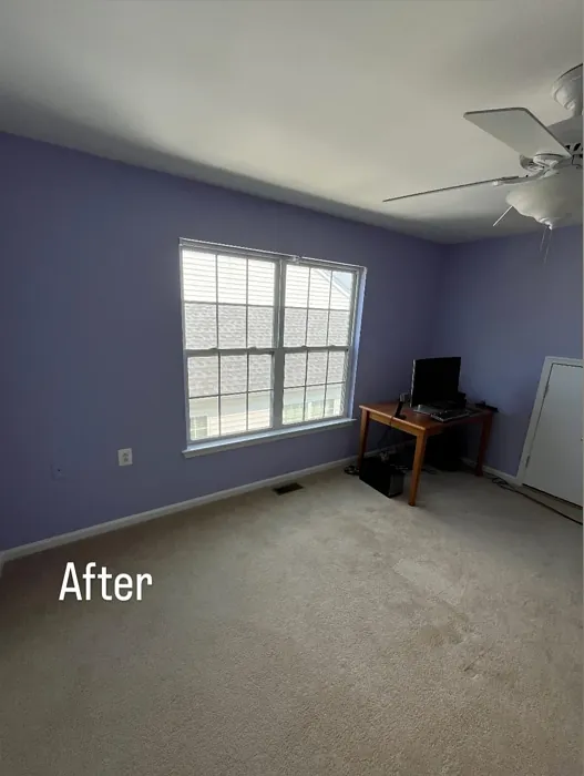 SW Agapanthus home office paint