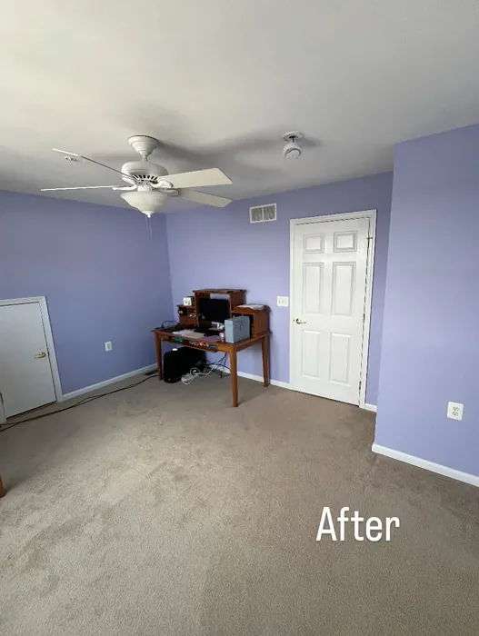 SW Agapanthus home office paint review