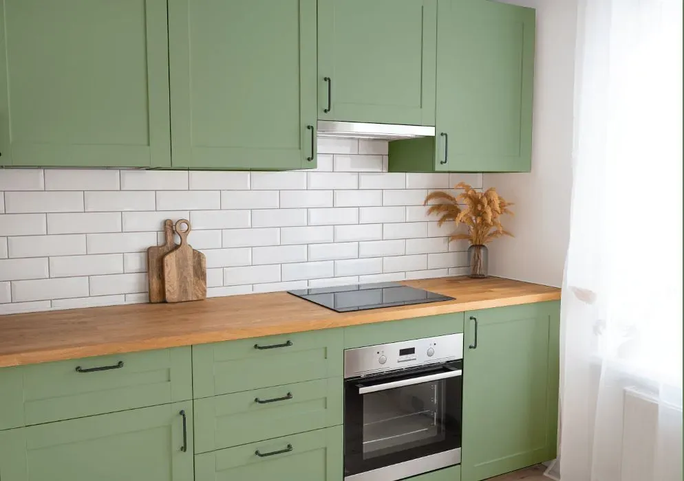 Sherwin Williams Agate Green kitchen cabinets