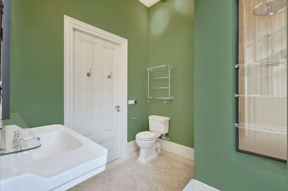 Sherwin Williams Agate Green bathroom