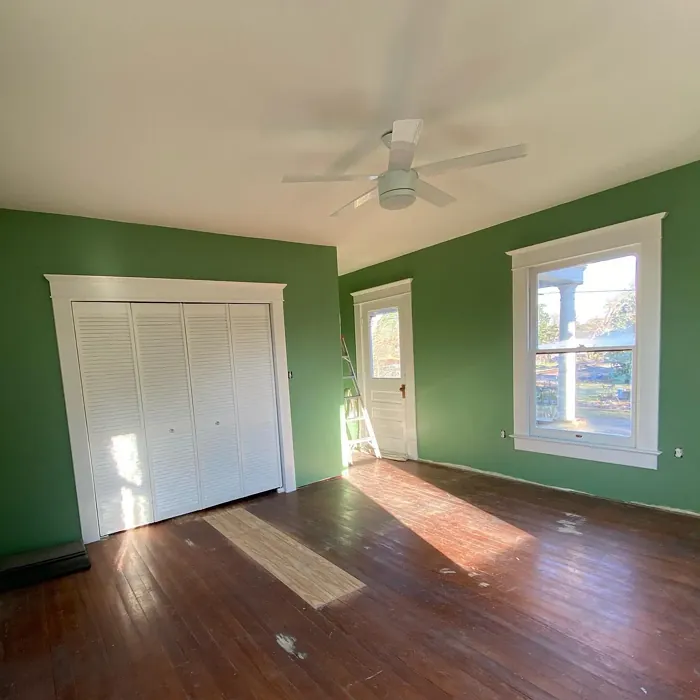 Sherwin Williams Agate Green wall paint review