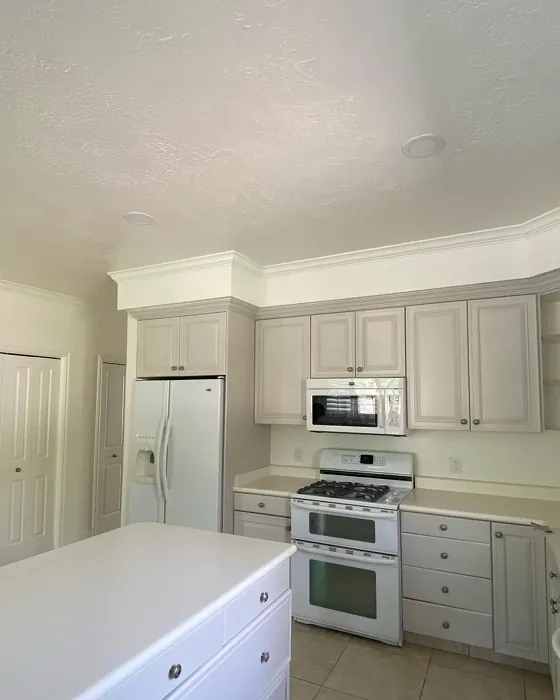 Agreeable Gray kitchen cabinets paint review