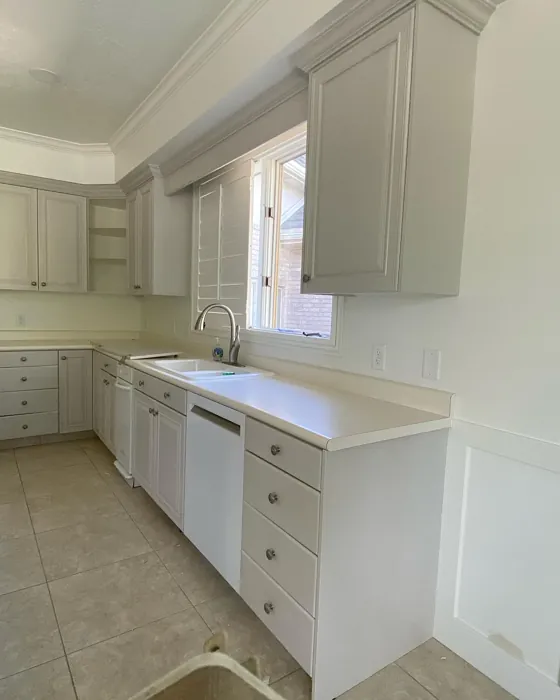 SW Agreeable Gray kitchen cabinets color