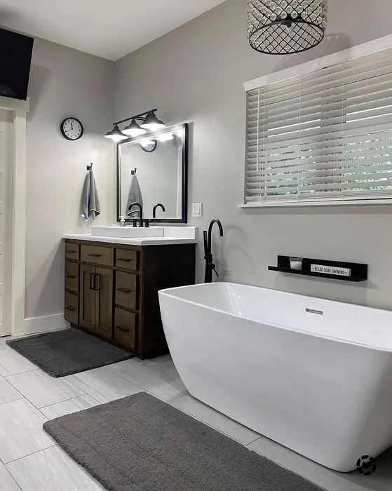 Bathroom makeover with Sherwin Williams paint