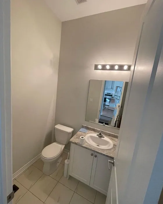 Sw Agreeable Gray Bathroom