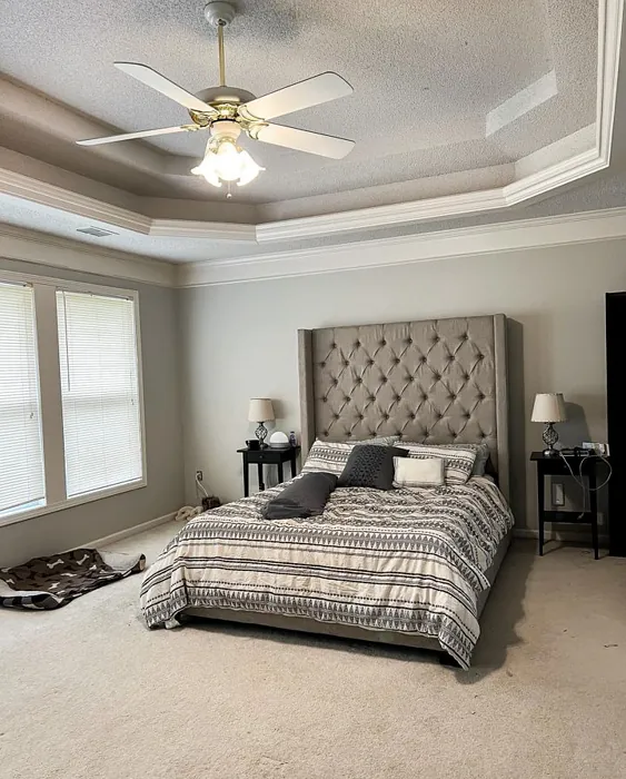 Agreeable Gray Bedroom