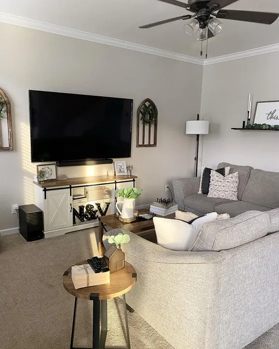 Agreeable Gray Living Room