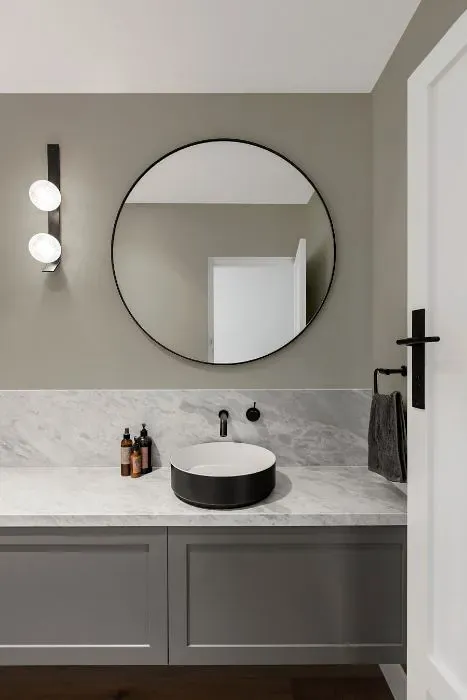 Sherwin Williams Allegory minimalist bathroom