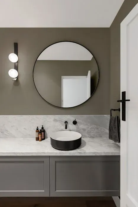 Sherwin Williams Alloy minimalist bathroom