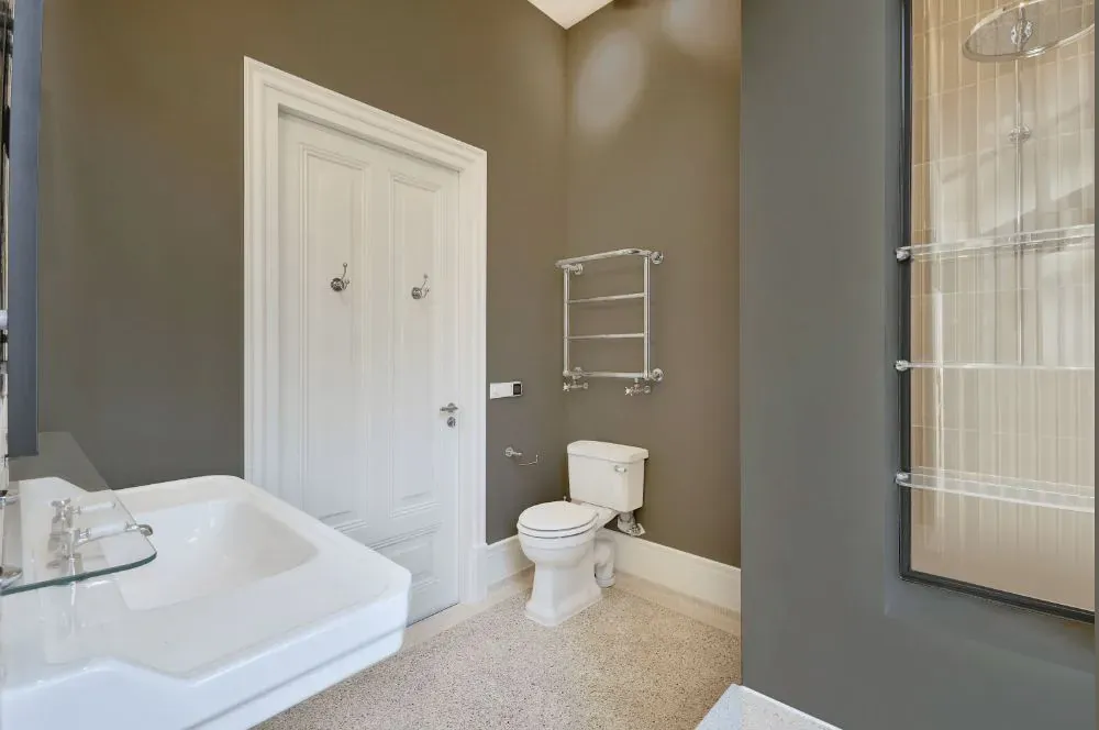 Sherwin Williams Alloy bathroom