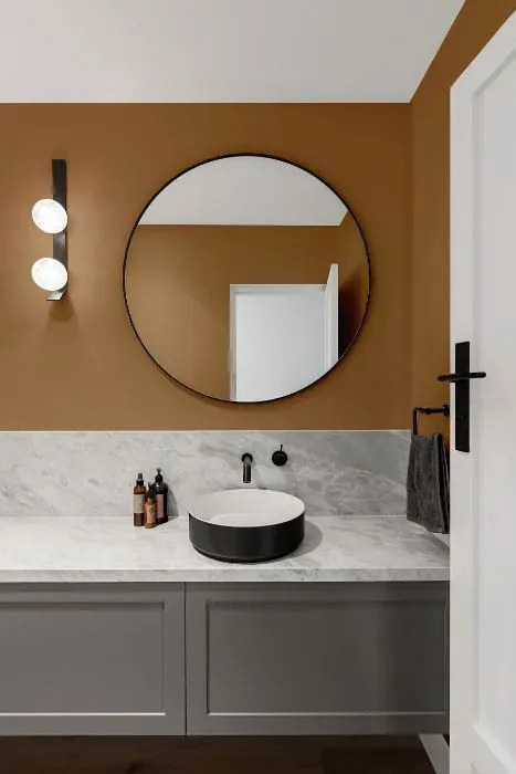 Sherwin Williams Almond Roca minimalist bathroom