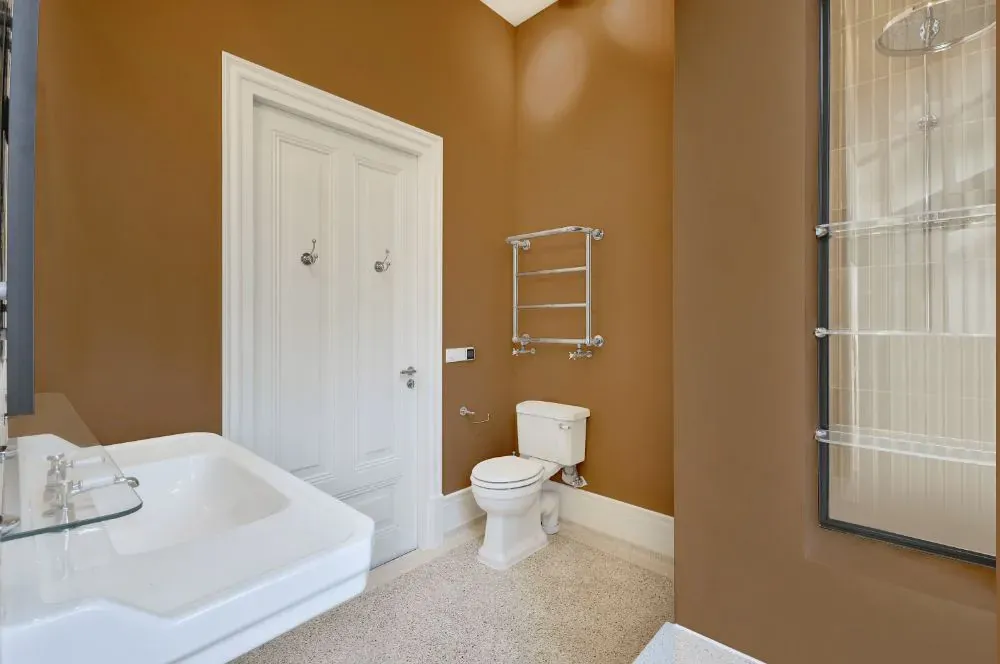 Sherwin Williams Almond Roca bathroom