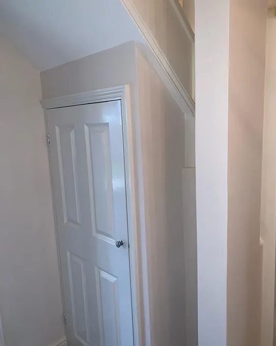 Dulux 70YR 74/045 wall paint color