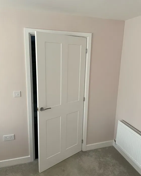 Almost Oyster wall paint color