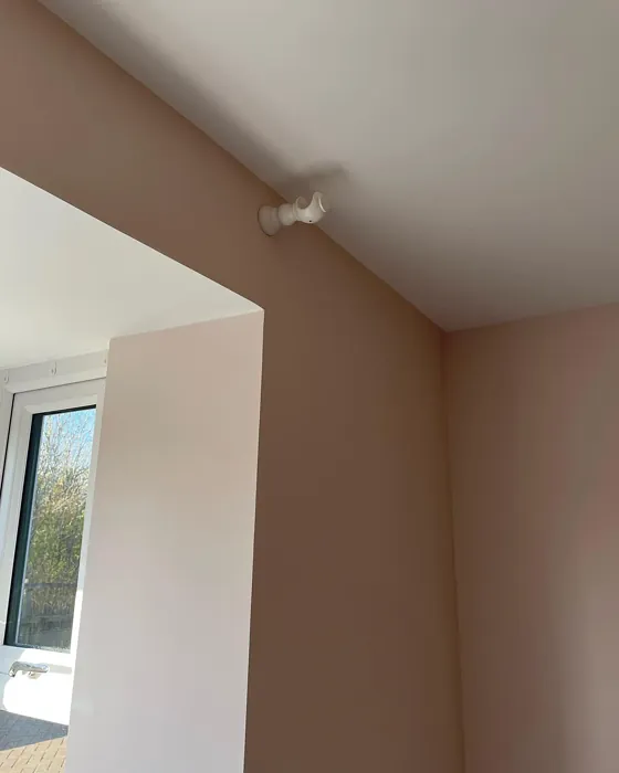 Almost Oyster wall paint color review