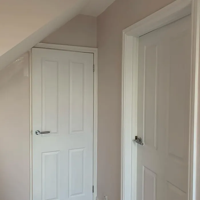 Almost Oyster hallway paint