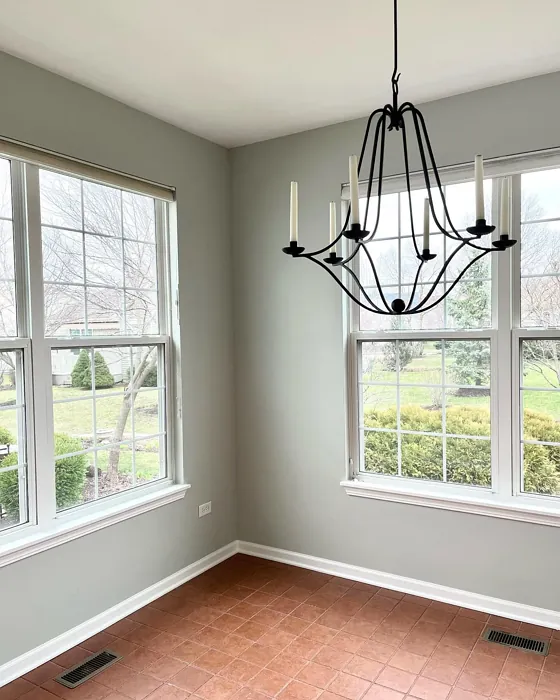 SW Aloof Gray wall paint review