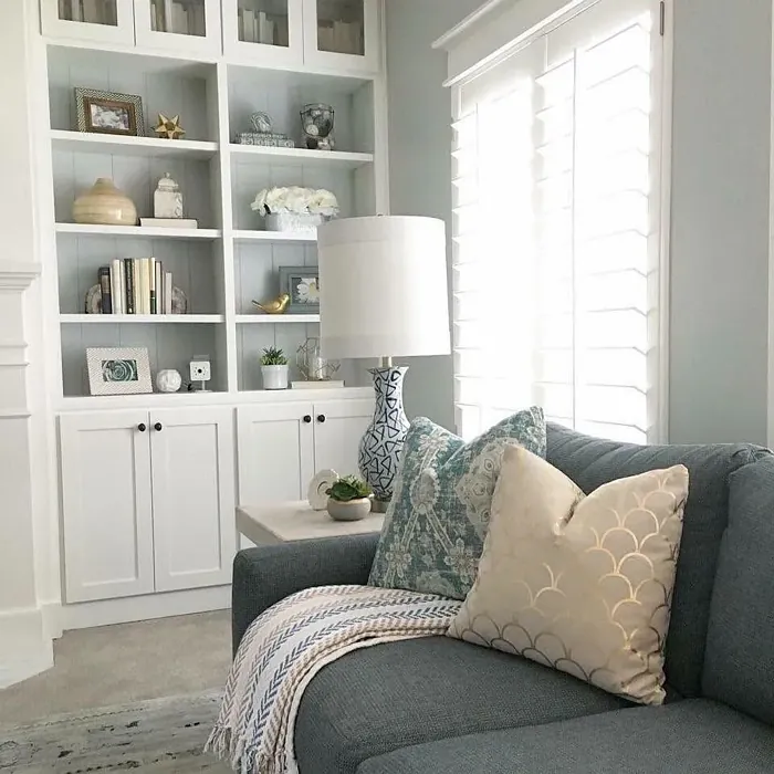 SW Aloof Gray living room interior