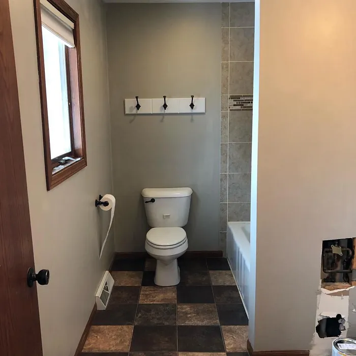 Sw Amazing Gray Bathroom