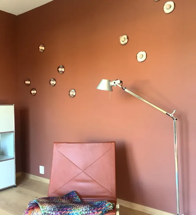 Jotun Amber Red living room color