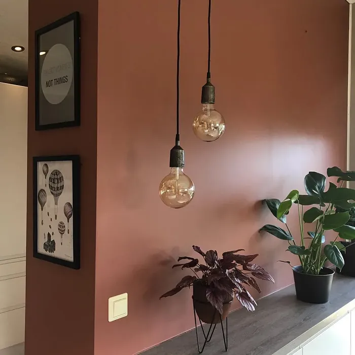 Jotun Amber Red wall paint color