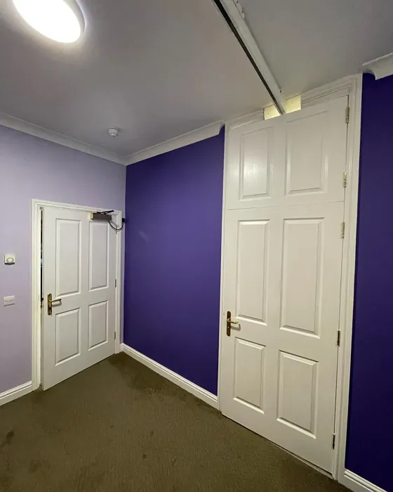 Dulux Amethyst Showers 1 accent wall 