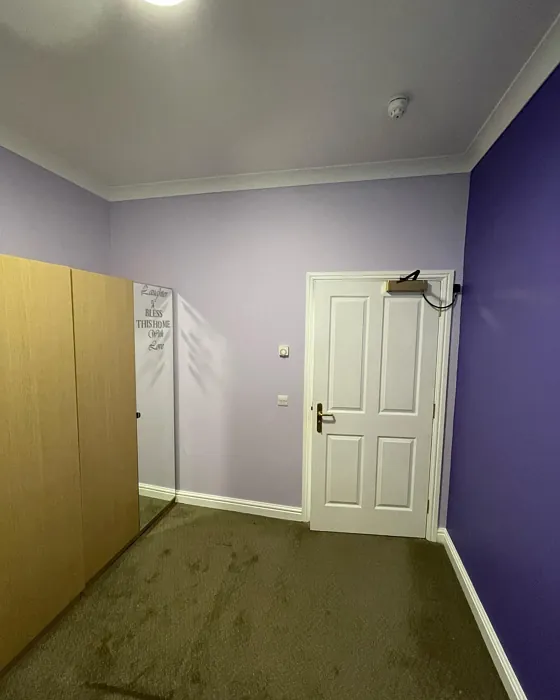 Dulux Amethyst Showers 1 accent wall paint