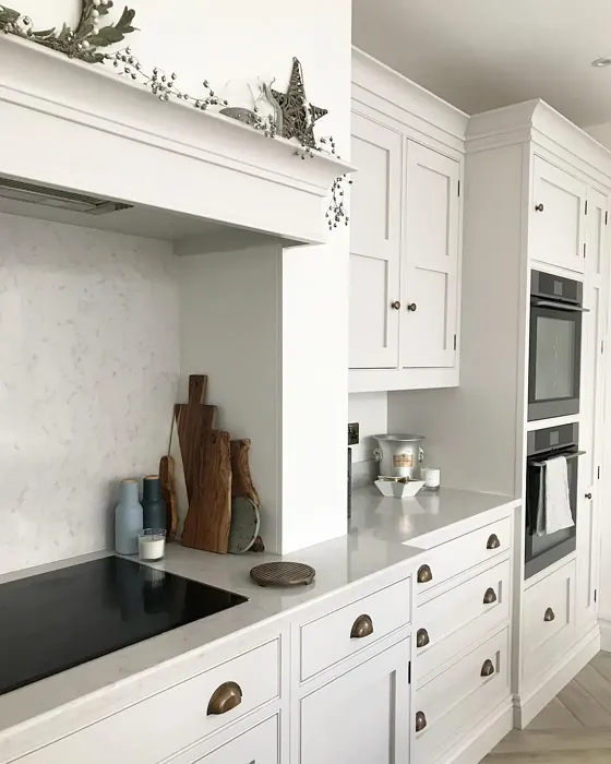 Ammonite kitchen cabinets interior