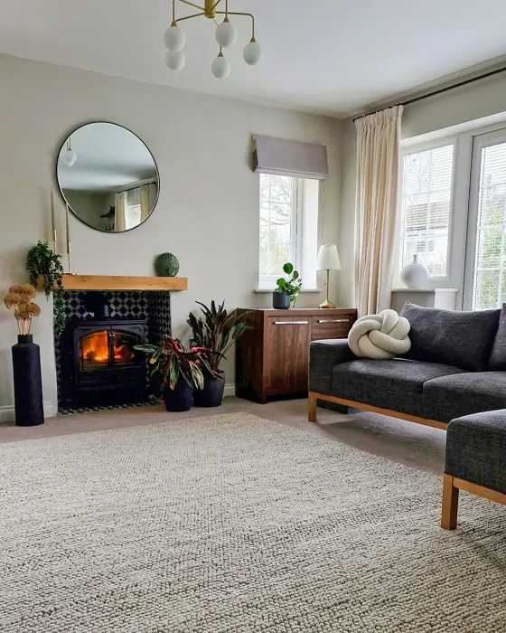Ammonite living room fireplace review