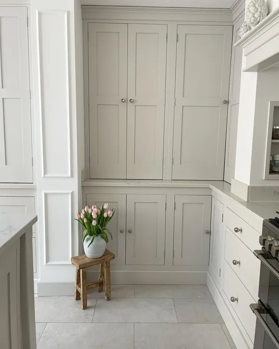 Farrow and Ball Ammonite kitchen cabinets review